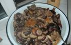 Ang pinakamahusay na mga recipe para sa pag-aasin ng mga mushroom ng gatas na mainit at malamig