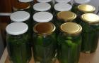 Enkle oppskrifter på agurker med kanel til vinteren uten sterilisering i krukker Sylting av agurker til vinteren med kanel
