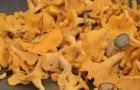 Chanterelle mushrooms marinated for the winter With wine vinegar