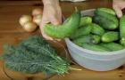 Karališkosios salotos žiemai - paprasti ir skanūs receptai